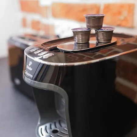 Grey Panther In The Heart Of 아파트 *