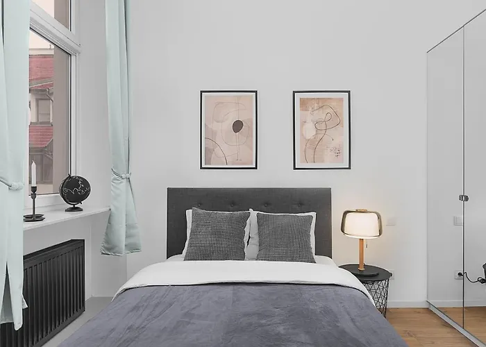 Grey Panther In The Heart Of 아파트 브로츠와프