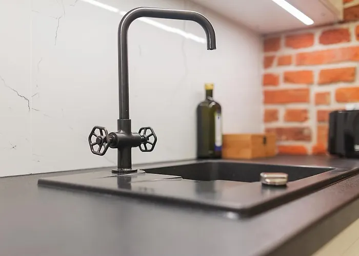 아파트 Grey Panther In The Heart Of *