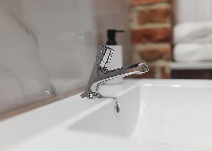 Grey Panther In The Heart Of *