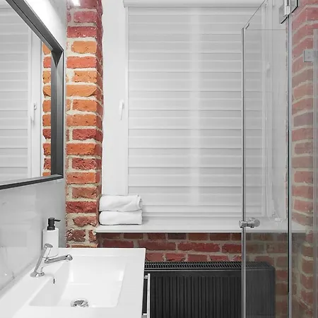 Grey Panther In The Heart Of Lejlighed Wrocław