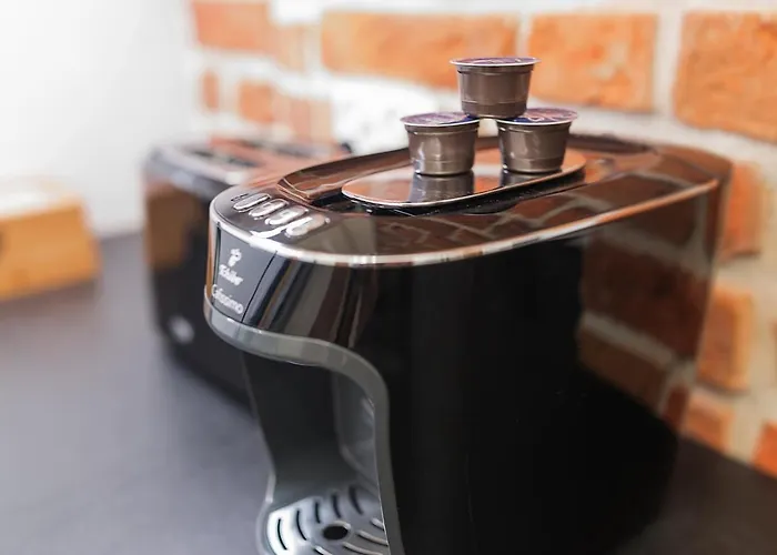 Grey Panther In The Heart Of Apartmán *