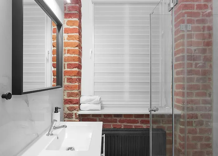 Grey Panther In The Heart Of Apartmán Vratislav